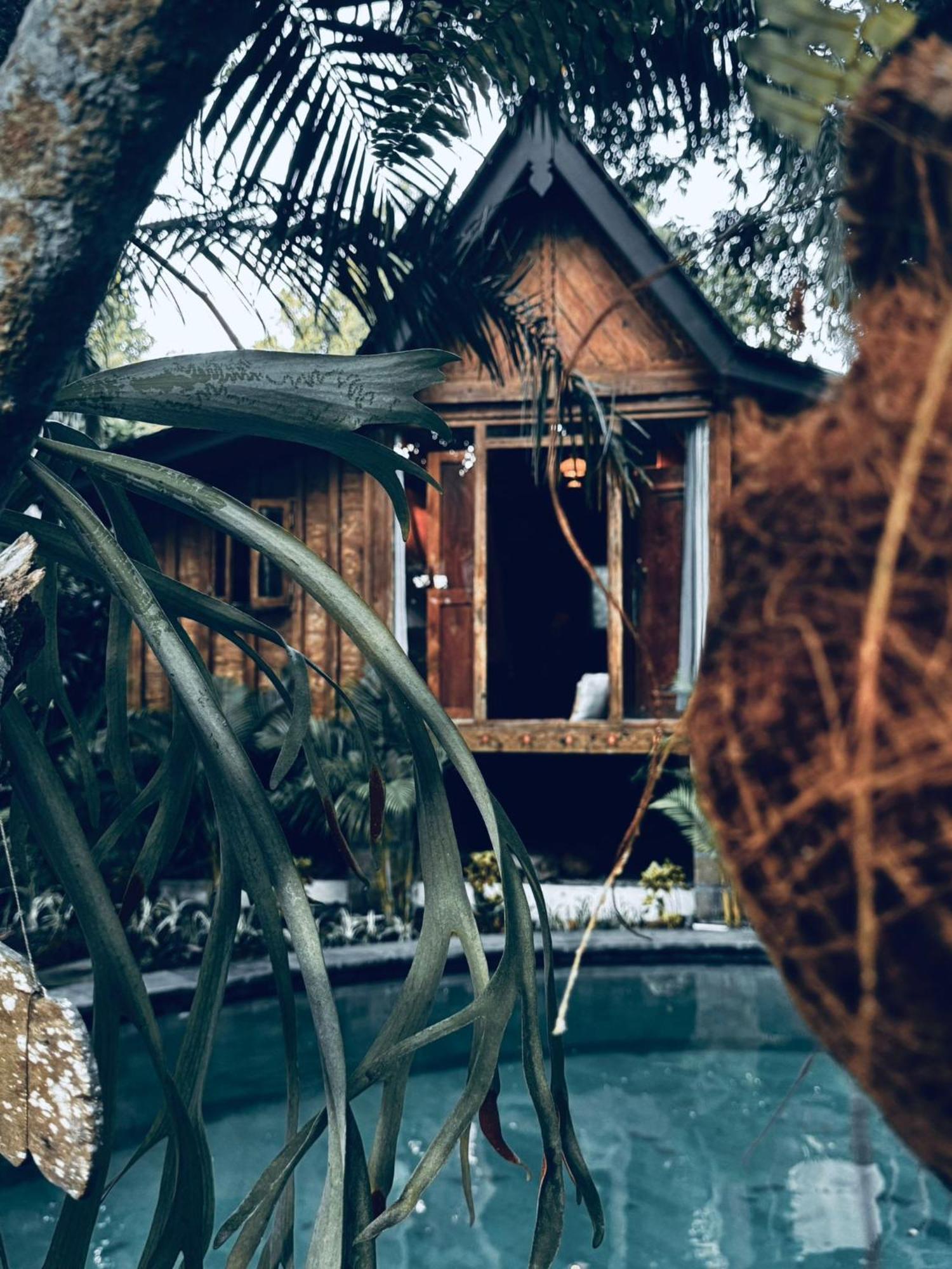 Resort Jungleroom Canggu Dış mekan fotoğraf